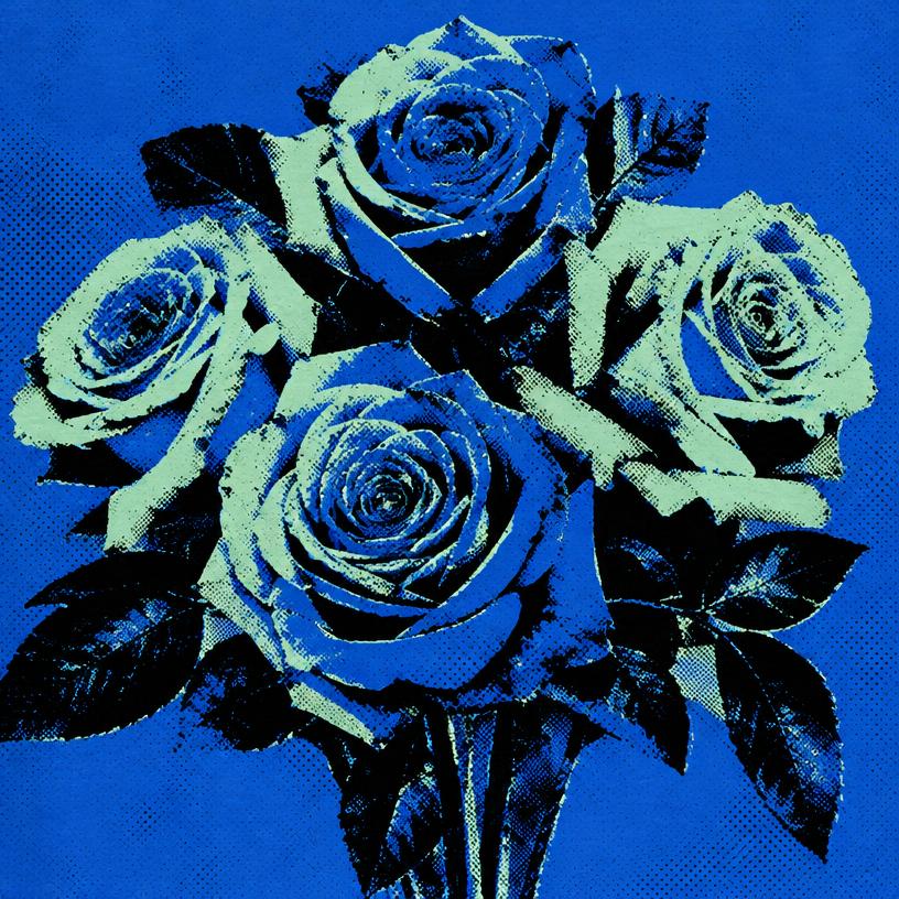 Pop art roses in cobalt and seafoam